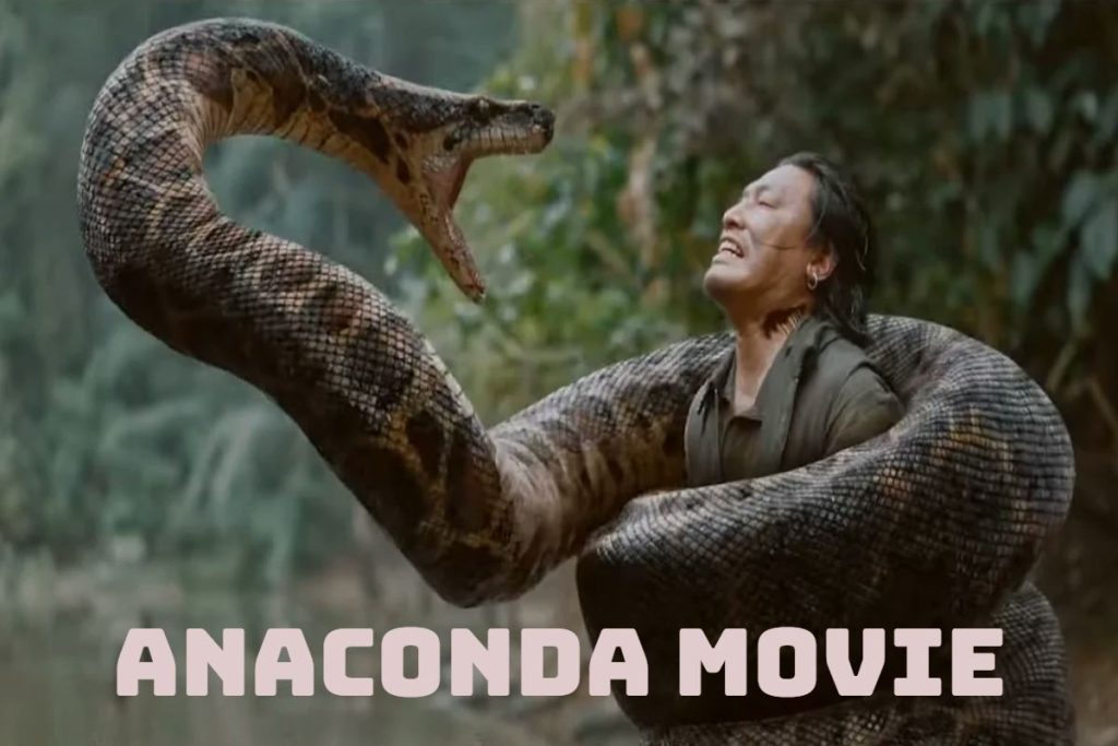 Giant Anaconda in Amazon jungle.