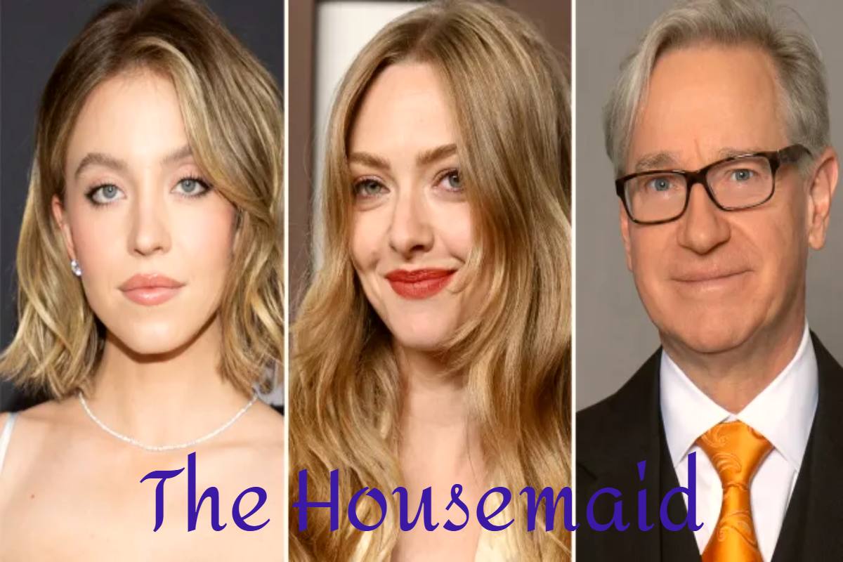 Unveiling secrets in The Housemaid.