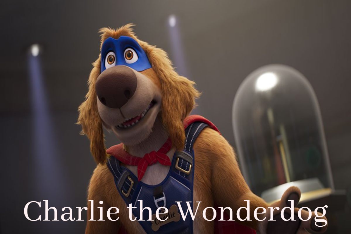 Charlie the Wonderdog jumping high in the air.