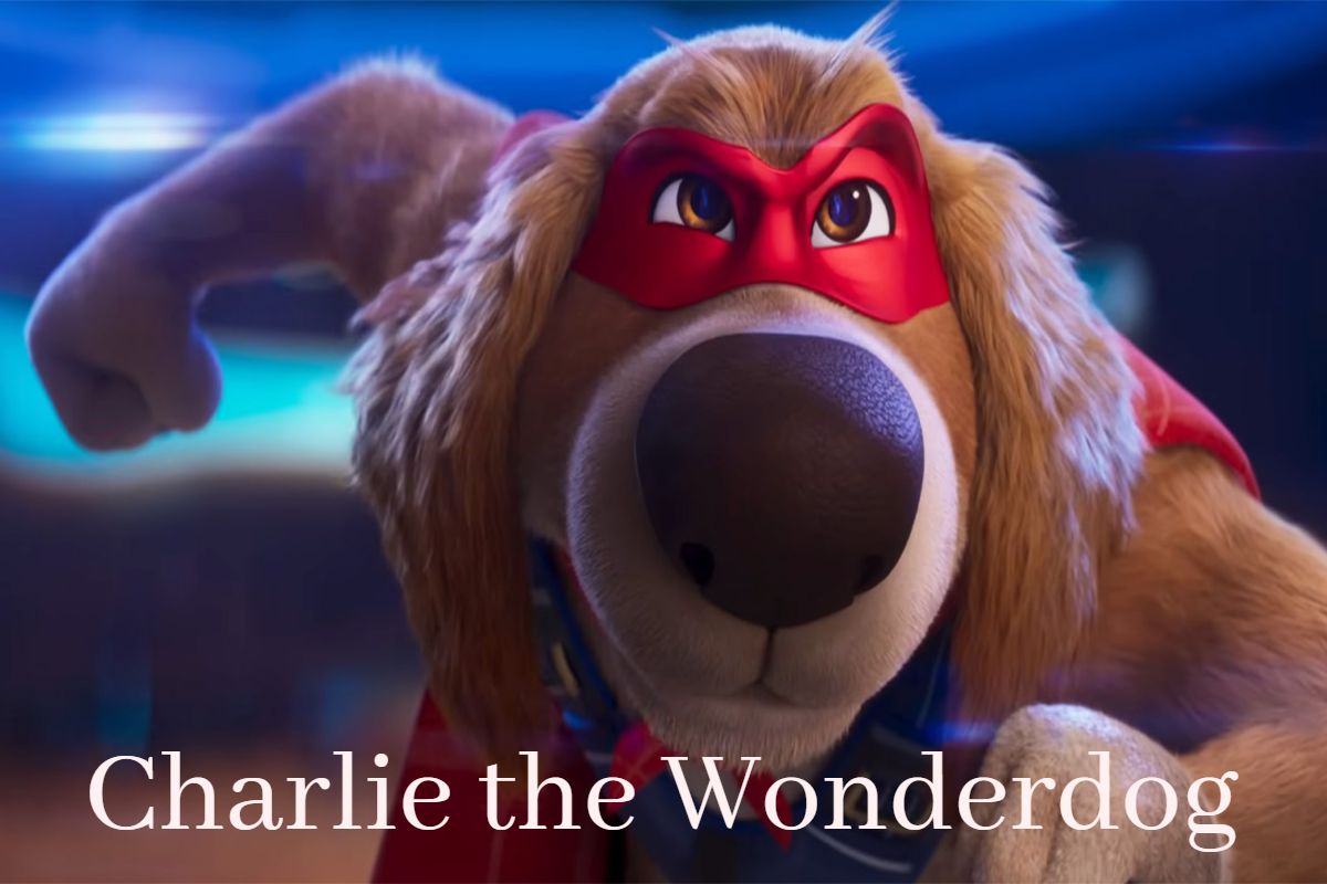 Charlie the Wonderdog playing in the park.